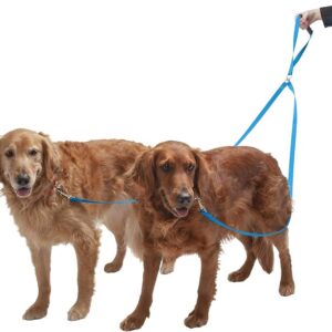 Dog Leash