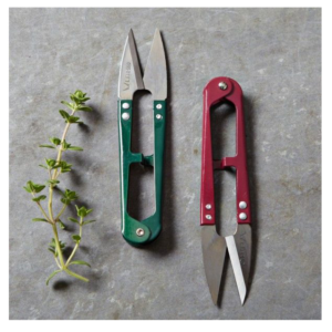 HERBS SNIPS