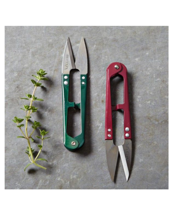 HERBS SNIPS